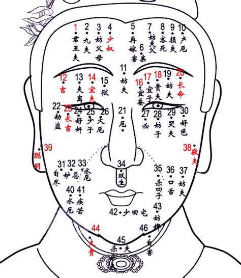 胸前的痣|算命先生提醒：胸前痣的位置与命运图 百发百中